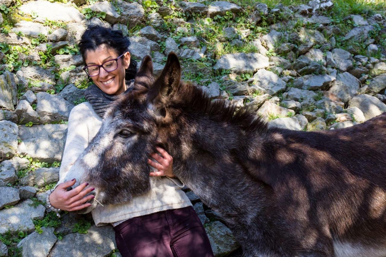 Agriturismo A Ca Vegia Calice Ligure Eksteriør bilde