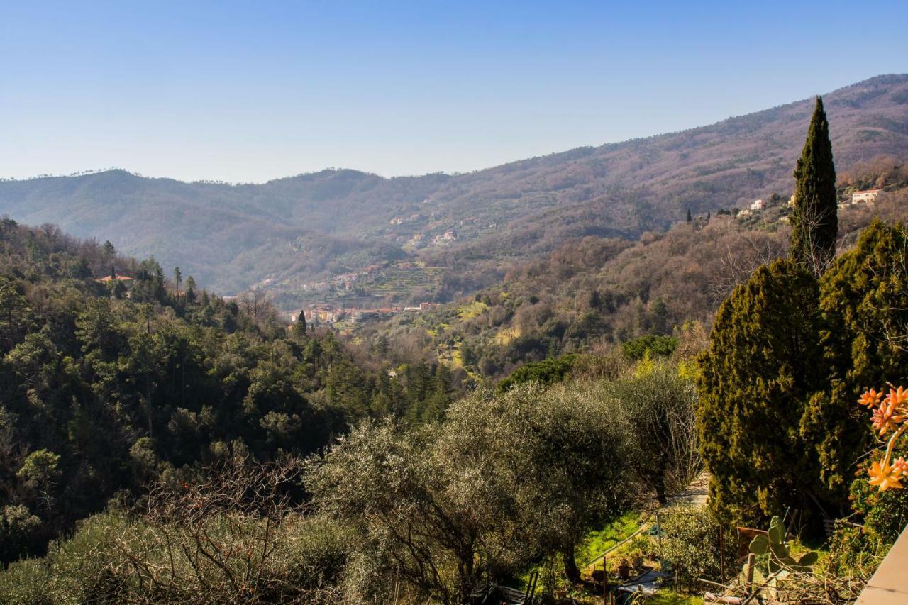Agriturismo A Ca Vegia Calice Ligure Eksteriør bilde